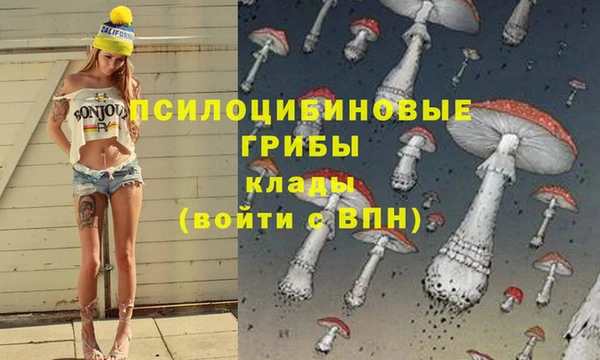 экстази Богородск