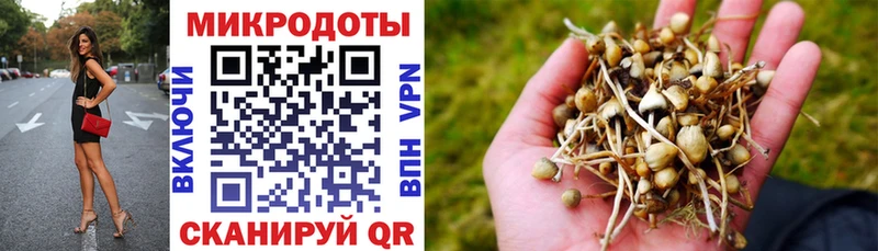 цены   Вилючинск  Псилоцибиновые грибы Cubensis 